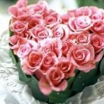 Valentines Day Flowers