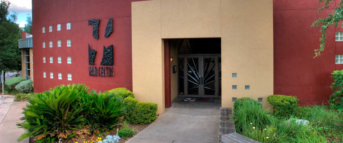 ICN023_webslider Iron Cactus