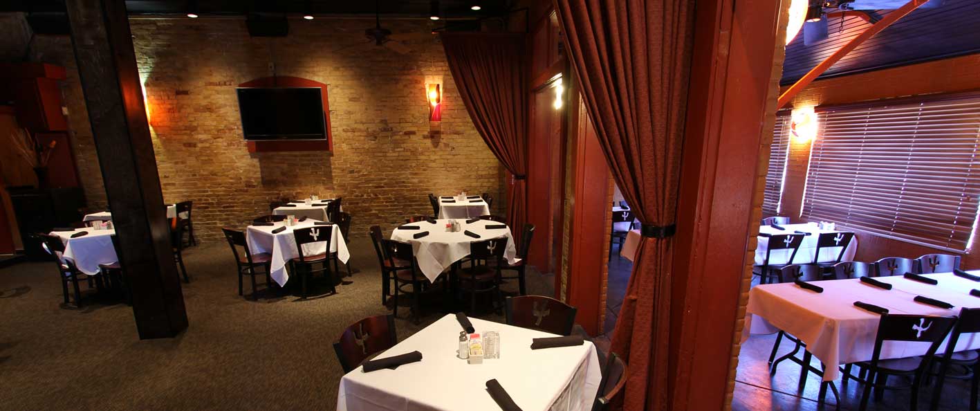 ICS054_webslider Iron Cactus